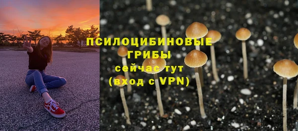 Альфа ПВП Вяземский